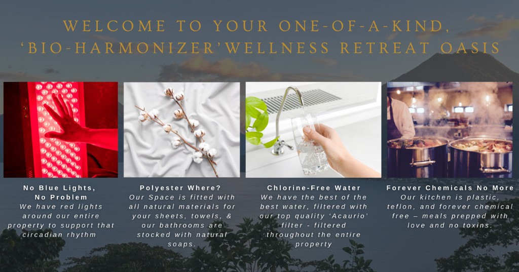 Bio-Harmonizer wellness retreat space