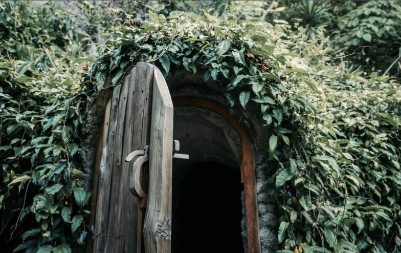 Vine-covered temazcal entrance
